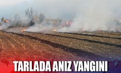 Tarlada anız yangını!