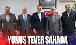 Tever sahada