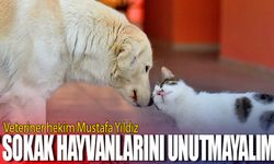 Veteriner hekim Mustafa Yıldız: " Sokak hayvanlarını unutmayalım"