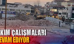 Ada Hayat'ta yıkım devam ediyor