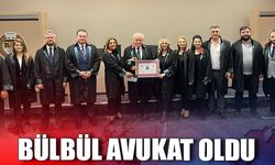 Bülbül avukat oldu