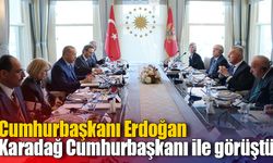 Cumhurbaşkanı Erdoğan, Karadağ Cumhurbaşkanı ile görüştü