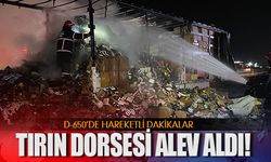 D-650’de tırın dorsesi alev alev yandı 