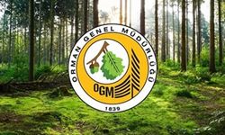 OGM 249 Orman Mühendisi alımı yapacak