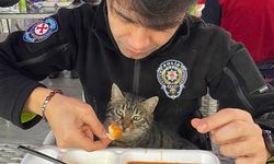 Polis yemeğini kedi ile paylaştı