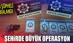 Şehirde büyük operasyon:133 şüpheli!