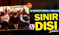 14 düzensiz göçmen sınır dışı edildi