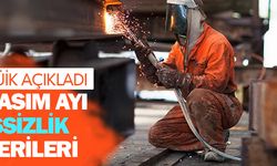 Kasım ayı işsizlik oranı yüzde 10,2 oldu