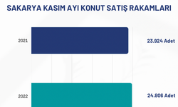 Sakarya konut satış sıralamasında 17.sırada