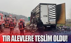 Tır alevlere teslim oldu