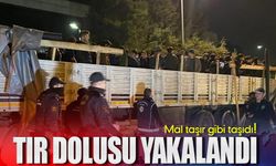 Tır dolusu yakalandı: Şoke eden olay!