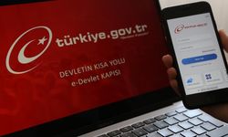 e-Devlet'ten 2 yeni hizmet