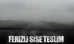 Ferizli sise teslim oldu