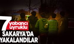 7 yabancı uyruklu yakalandı