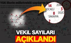 Vekil sayıları açıklandı: 8 olduk!