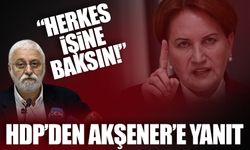 HDP'den Meral Akşener'e: Herkes işine baksın