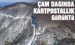 Kartpostallık görüntü!