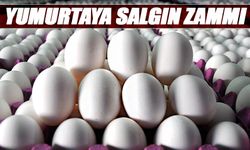 Yumurtaya salgın zammı!