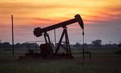 OPEC+ ülkeleri, petrol üretimini kısıyor