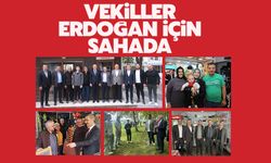 Vekiller Erdoğan için sahada 