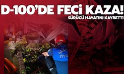 D-100’de feci kaza: sürücü hayatını kaybetti