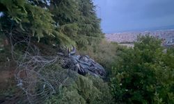 Kocaeli'de ağaca çarpan motosikletin sürücü yaralandı