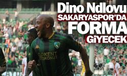 Dino Ndlovu Sakaryaspor'da forma giyecek