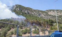 Bilecik'te çıkan orman yangınına müdahale ediliyor