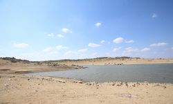 Kırklareli'nde Kayalıköy Barajı'nın su seviyesi yüzde 20 seviyesine düştü