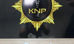Kırklareli'nde uyuşturucu operasyonunda 5 şüpheli tutuklandı