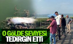 O gölün seviyesindeki düşüş tedirgin ediyor