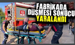 Fabrika çatısından düşen işçi yaralandı