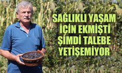 Sağlık için ekmişti, şimdi talebe yetişemiyor