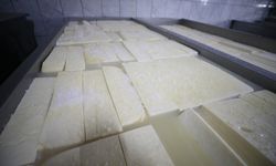 Balıkesir'in "ağlayan" tescilli peyniri 120 günde olgunlaşıp sofralara geliyor