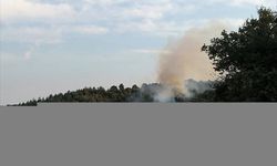 Bilecik'te çıkan orman yangını kontrol altına alındı