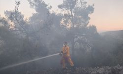 Bilecik'te dün çıkan orman yangınına müdahale sürüyor