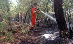 Bursa'da yıldırım düşmesi sonucu çıkan orman yangını söndürüldü