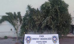 Bursa'daki uyuşturucu operasyonunda 2 zanlı yakalandı