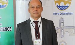 Ormanlar atmosferdeki karbon emisyonunu azaltmada önemli rol oynuyor