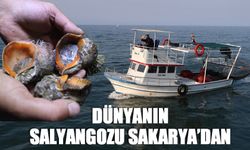 Dünyanın salyangozu Sakarya’dan