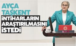 Taşkent, intiharların araştırılmasını istedi