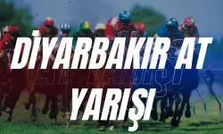 18 Kasım 2023 Diyarbakır at yarışı | 18 Kasım 2023 Diyarbakır at yarışı tahminleri