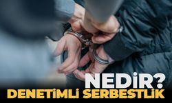 Denetimli serbestlik nedir? Bursa denetimli serbestlik nedir? 27 Kasım 2023 Denetimli Serbestlik!