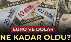 Dolar ne kadar, euro kaç TL? 17 OCAK 2024 Dolar ve Euro ne kadar?