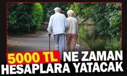 5000 TL emekli ikramiyesi ne zaman ödenecek?