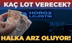 Horoz Lojistik ne zaman halka arz olacak? Horoz Lojistik kaç lot verecek?