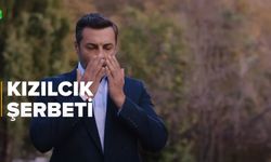 Kızılcık Şerbeti 40. bölüm izle | Kızılcık Şerbeti full izle 