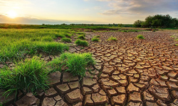 El Nino etkisiyle soğumayan deniz yüzey suyu ani yağışlara neden olabilir