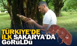 Türkiye'de ilk kez Sakarya'da görüldü