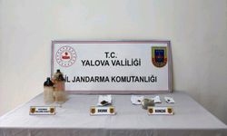 Yalova'da ormanlık alanda uyuşturucu ürettiği iddia edilen zanlı tutuklandı